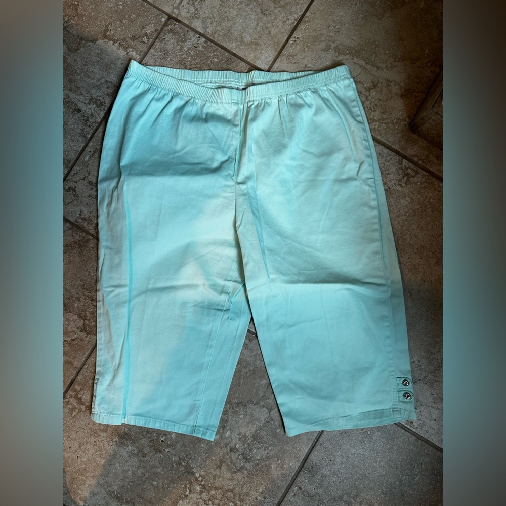 Hanes Mint Capris